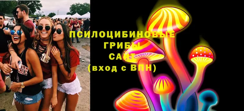 Галлюциногенные грибы MAGIC MUSHROOMS  МЕГА как войти  Елец 